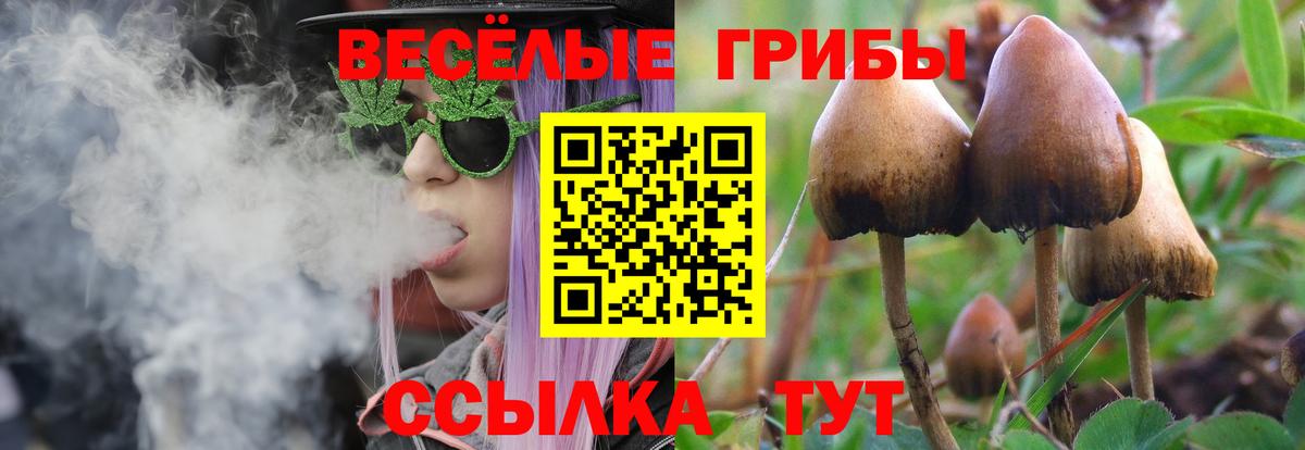 цена   Вход с VPN  Новочеркасск  Галлюциногенные грибы Psilocybine cubensis  Псилоцибиновые грибы MAGIC MUSHROOMS 